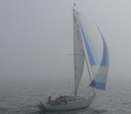 Hull #177 - Harbor Duck
