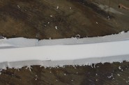 Foam