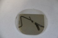 Head