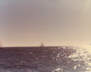 Wanderer